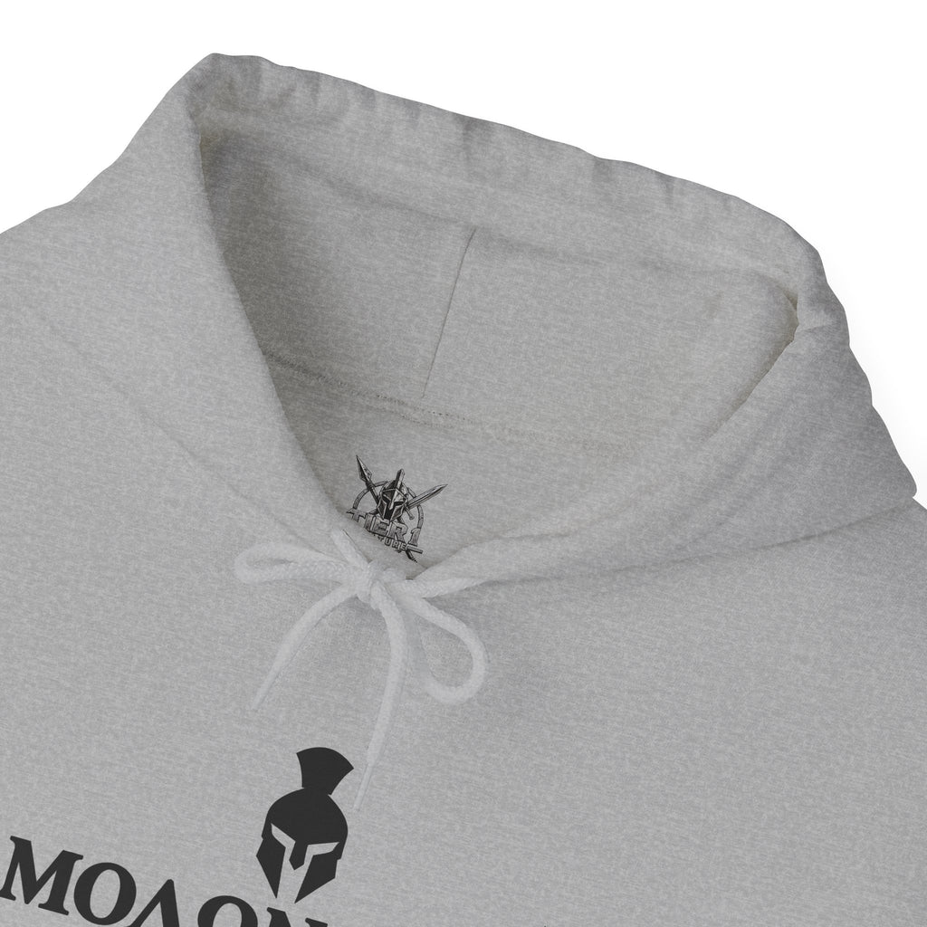 Spartan Warrior Hoodie