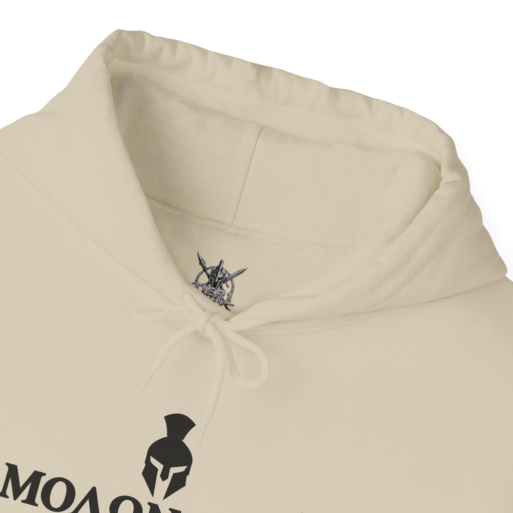 Spartan Warrior Hoodie