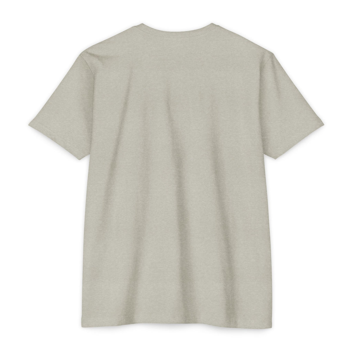 Odin’s Chosen T-Shirt – Viking Raven Norse Mythology Graphic Tee
