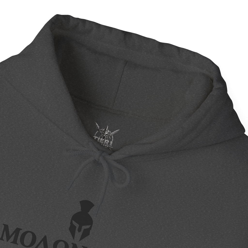 Spartan Warrior Hoodie