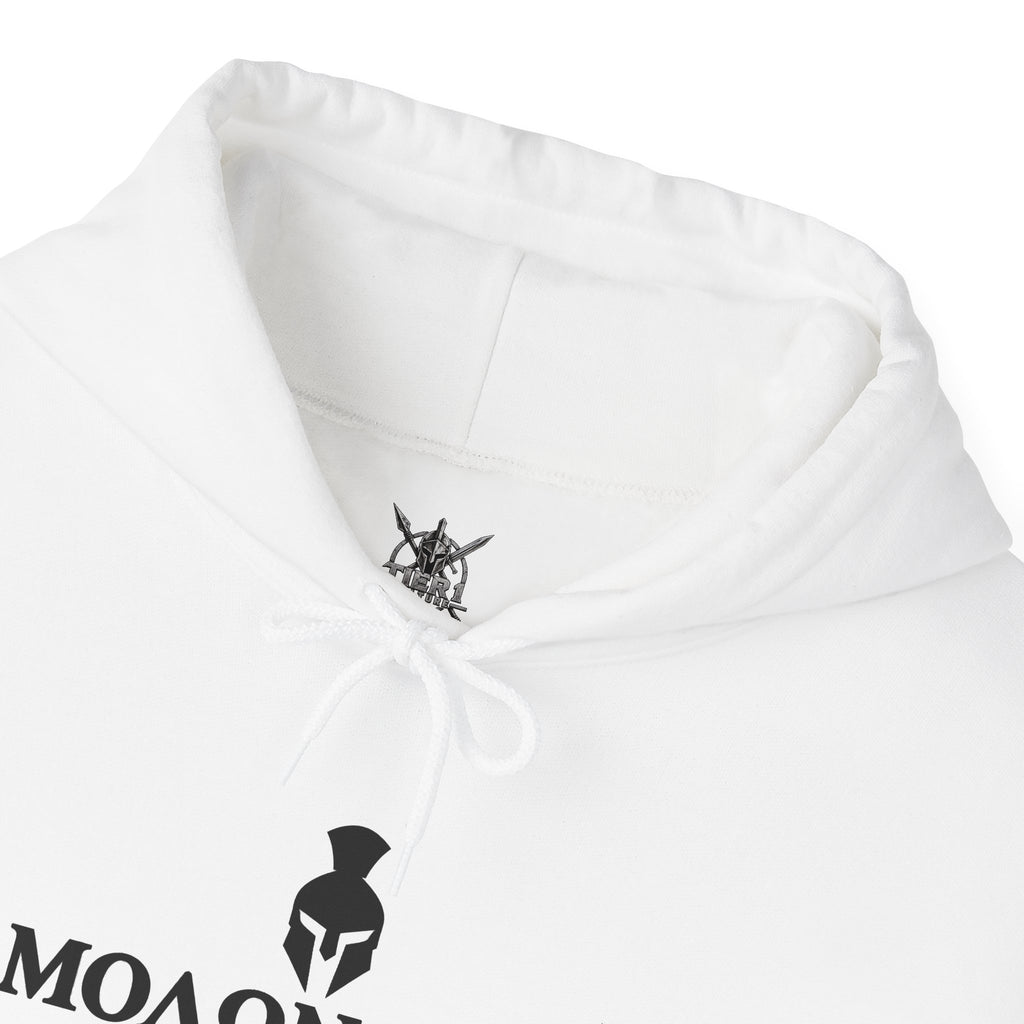 Spartan Warrior Hoodie
