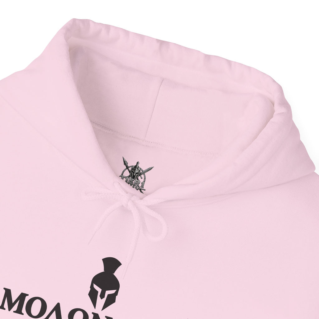 Spartan Warrior Hoodie
